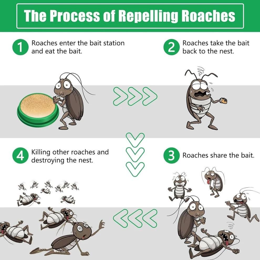 Powerful Cockroach Killer Gel – Buy 1 Get 1 Free | Long-Lasting Roach Control