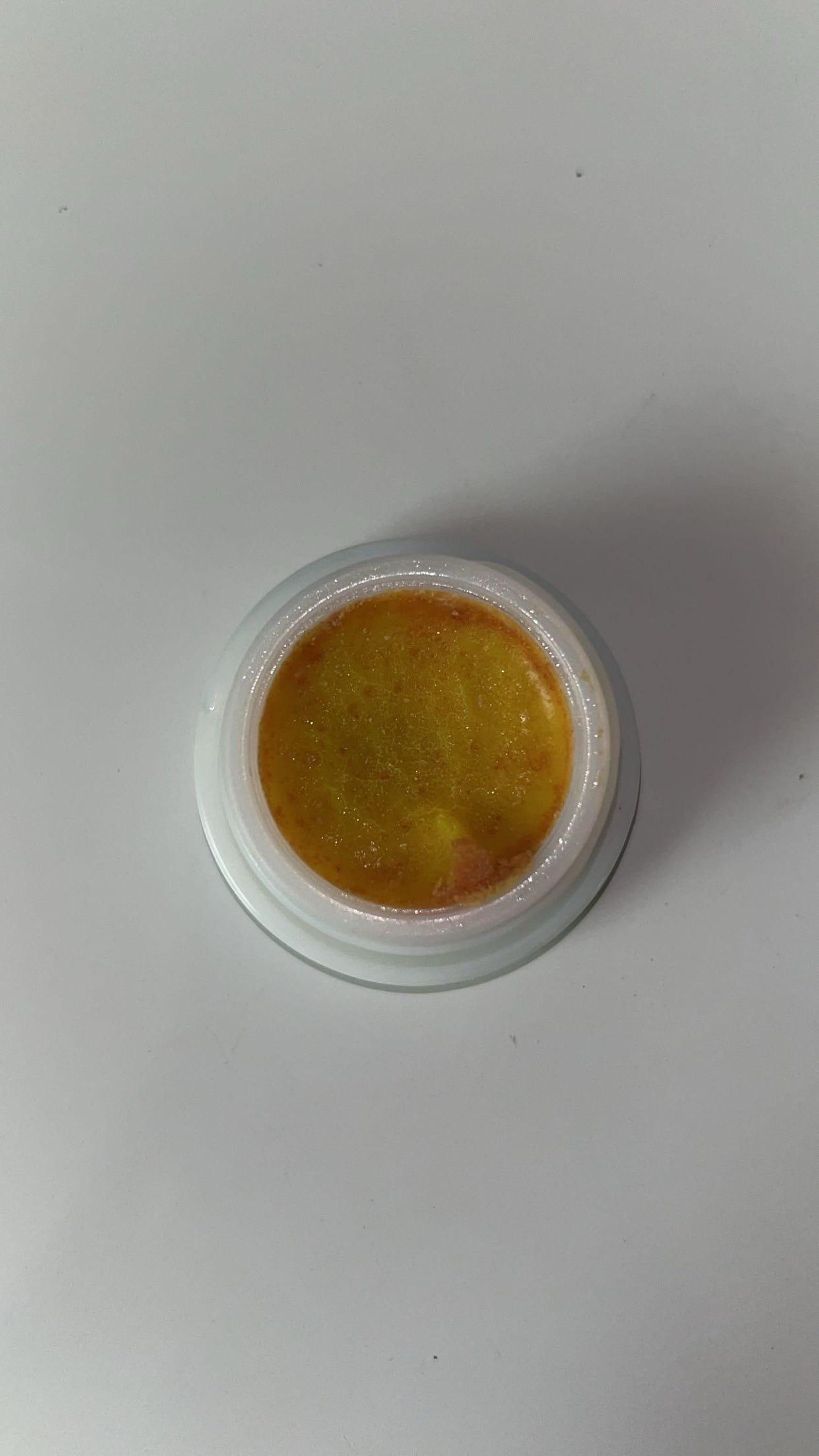 Powerful Cockroach Killer Gel – Buy 1 Get 1 Free | Long-Lasting Roach Control